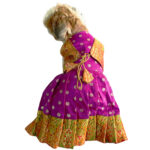 Paithani Dresses For Pets - Image 9