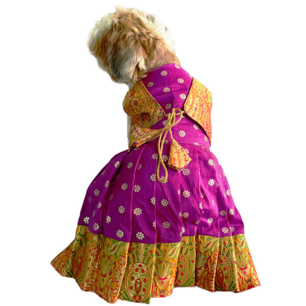 Paithani Dresses For Pets - Image 9