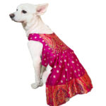 Pink Paithani Dress