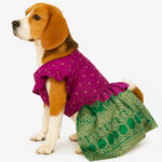 Pattu Traditional Dress- Pink Green