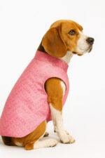 Pink Sherwani For Dogs - Image 7