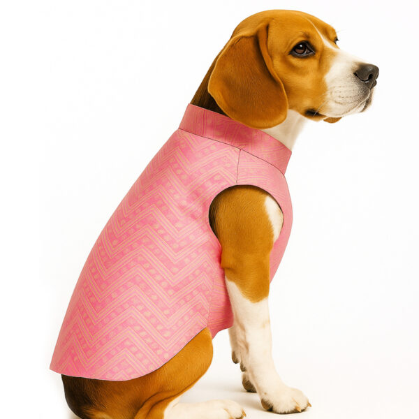 Pink Sherwani For Dogs - Image 1
