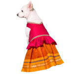 Yellow Pink Combination Parkar Polka
