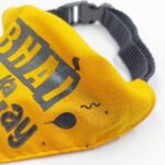 Bhai Ka Birthday Dog Bandana - Image 4