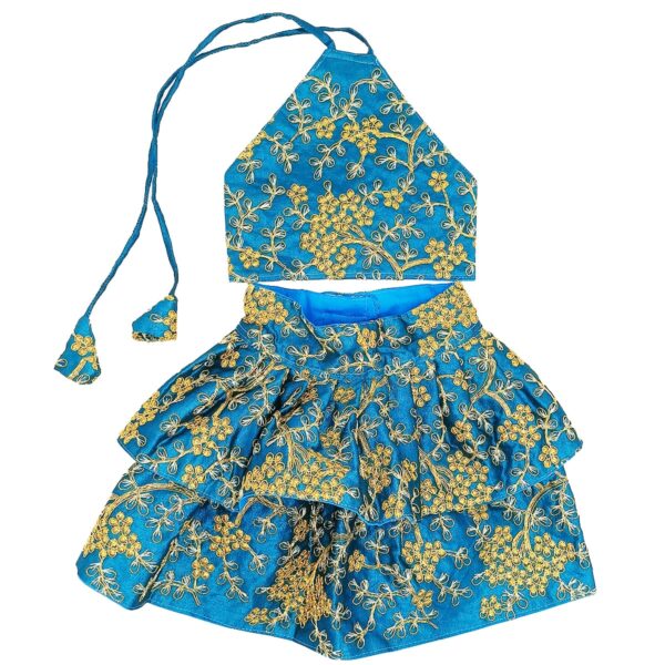 Silk Zari Work Pet Lehenga Choli Blue - Image 2