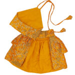 Silk Zari Work Pet Lehenga Choli Yellow - Image 4