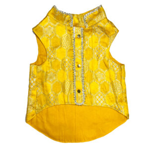 Yellow Silk Kurta