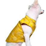 Yellow silk & Green silk kurta- Combo of 2 - Image 2
