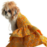 Silk Zari Work Pet Lehenga Choli Yellow