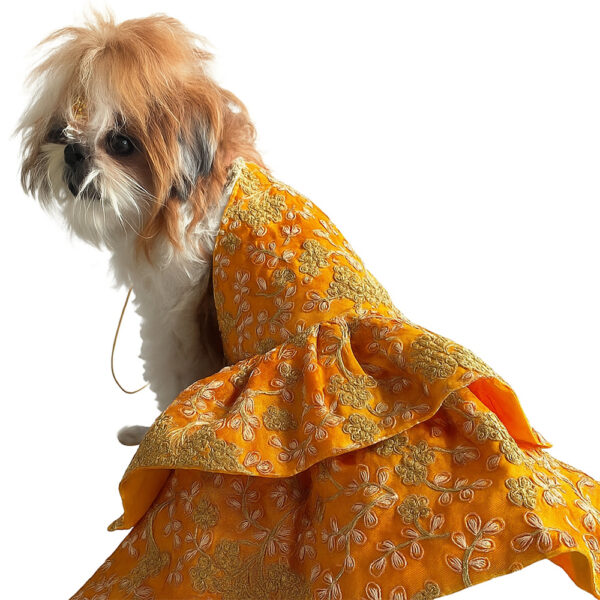 Silk Zari Work Pet Lehenga Choli Yellow - Image 1