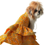 Silk Zari Work Pet Lehenga Choli Yellow