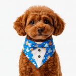 Monday Blues tuxedo bandana