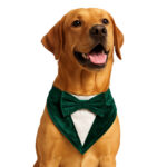 Emerald green velvet bandana