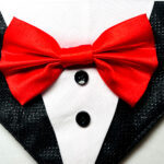 James bond tuxedo bandana - Image 4
