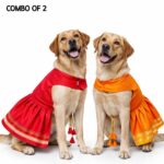 Yellow Parkar Polka & Red Parkar Polka