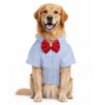 MyArtBucket Blue Strips Dog Shirt