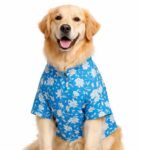 Red Checks Blue kalamkari shirt- Combo of 2 - Image 3