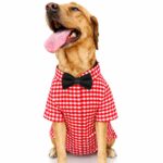 Red checks with black bow shirt