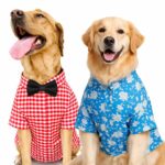 Red Checks Blue kalamkari shirt- Combo of 2