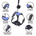 My Art Bucket Dog Harness for Daily Walk- Blue - Image 2