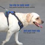 My Art Bucket Dog Harness for Daily Walk- Blue - Image 6