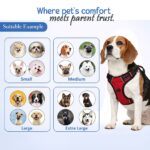My Art Bucket Dog Harness for Daily Walk- Blue - Image 4