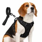 My Art Bucket Dog Harness for Daily Walk- Black
