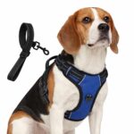 My Art Bucket Dog Harness for Daily Walk- Blue