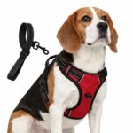 My Art Bucket Dog Harness for Daily Walk- Red