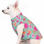 Floral Teal shirt for dogs