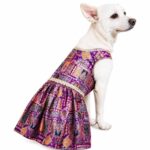 Jamuni Jalwa festive dog dress