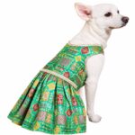 Morpankhi festive Dog dress