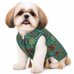 Morpankhi Festive dog kurta