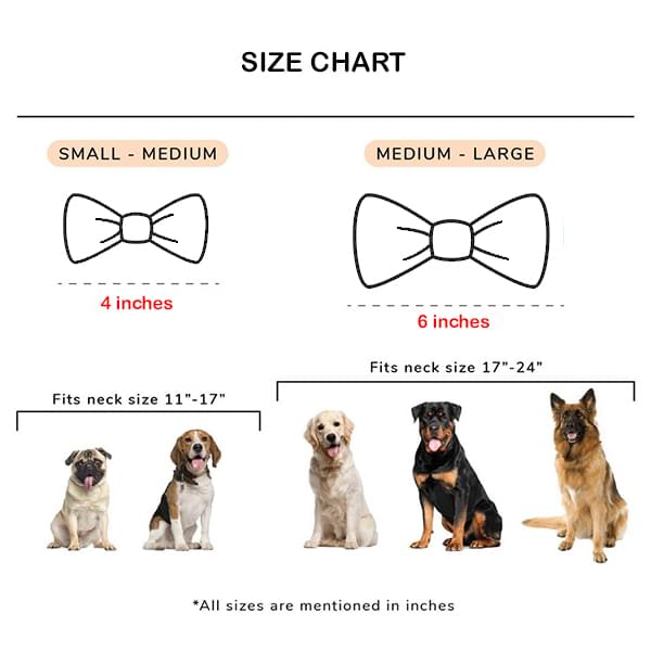 Cute sets of dog hairbow (2 pair) - Image 3