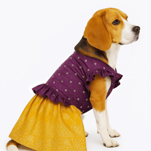 Pattu Traditional Dress- Yellow Violet - Image 1