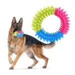 Spiny Rubber Circle Teeth Cleaning Chew Training Dog Toy - Image 2