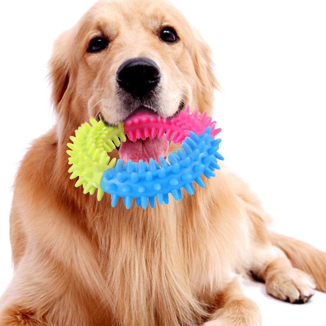 Spiny Rubber Circle Teeth Cleaning Chew Training Dog Toy - Image 3