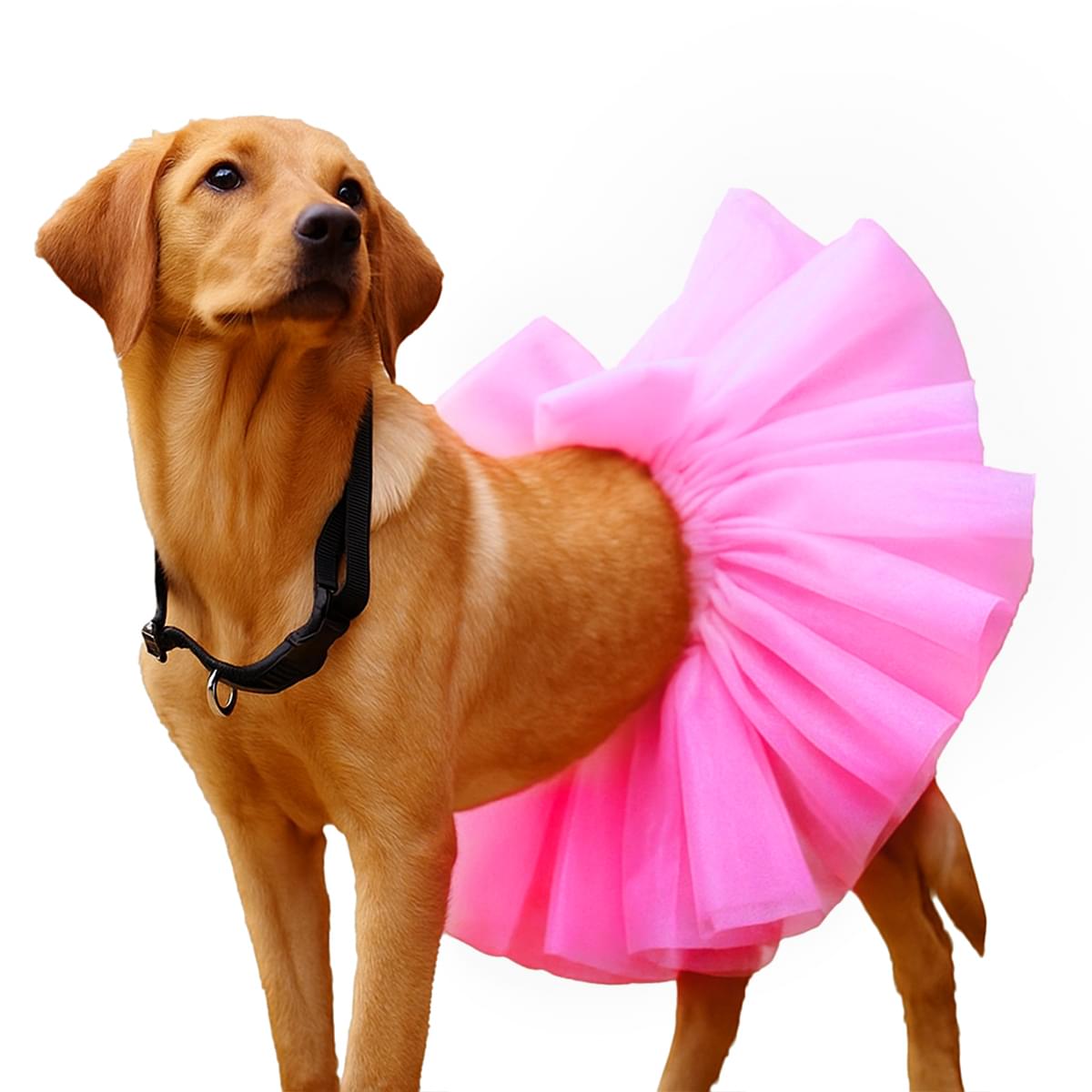 Pet Tutu Net Pink Skirt - Image 1
