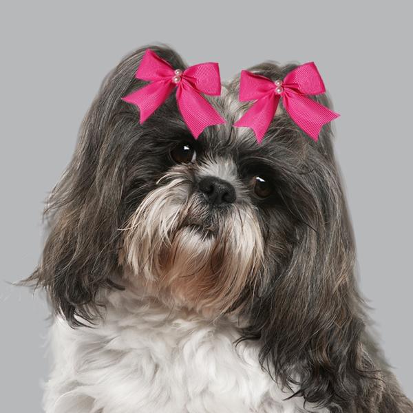 Cute sets of dog hairbow (2 pair) - Image 2
