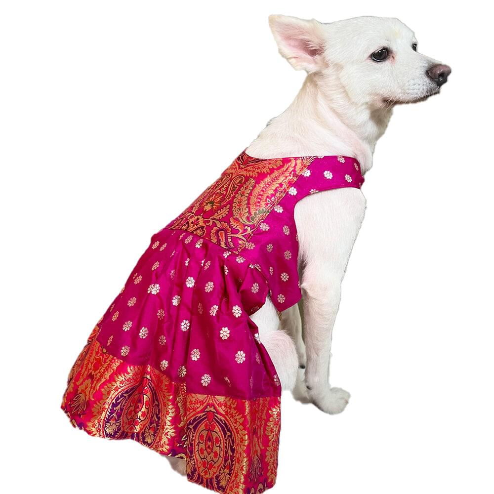 Pink Paithani Dress - Image 1