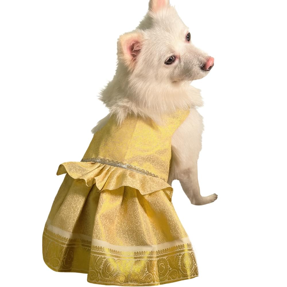 White gold dress - Image 1