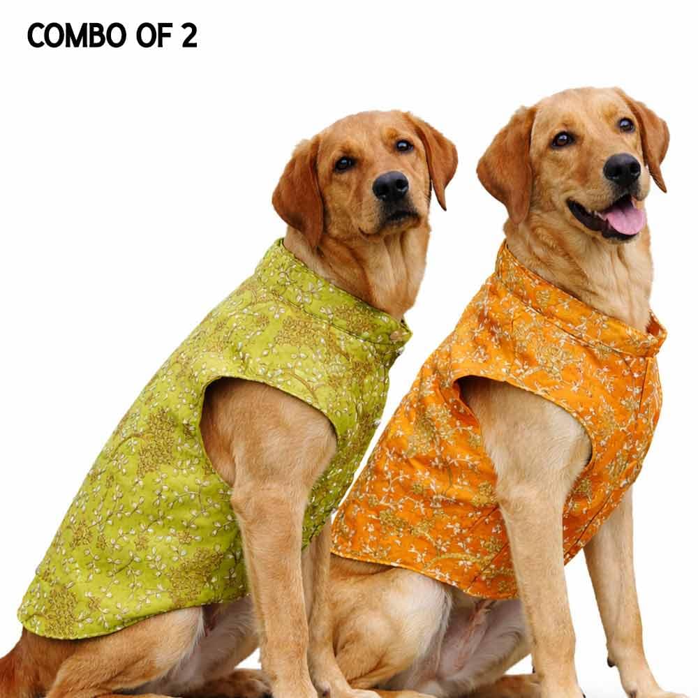 Yellow gold & Lime green sherwani- Combo of 2 - Image 1