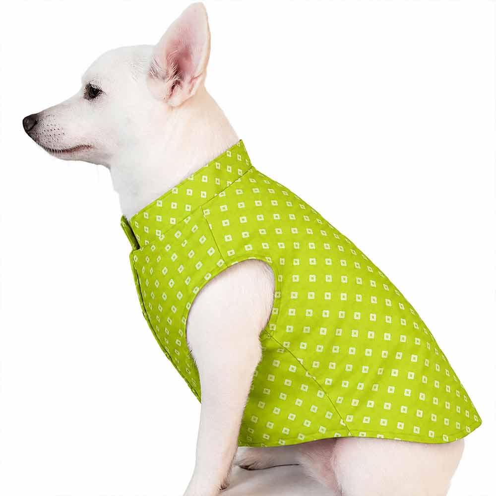 green-bandhni-kurta-4 Green Bandhani print kurta for dogs - Image 1