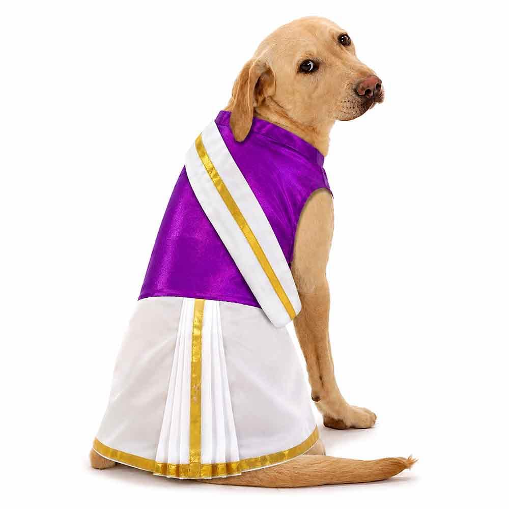 Dhoopchao Dhoti Kurta for dogs - Image 1