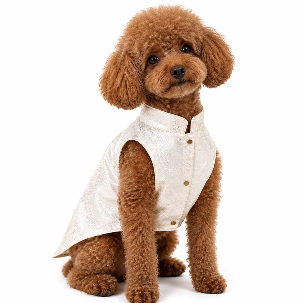 White silk dog sherwani - Image 1