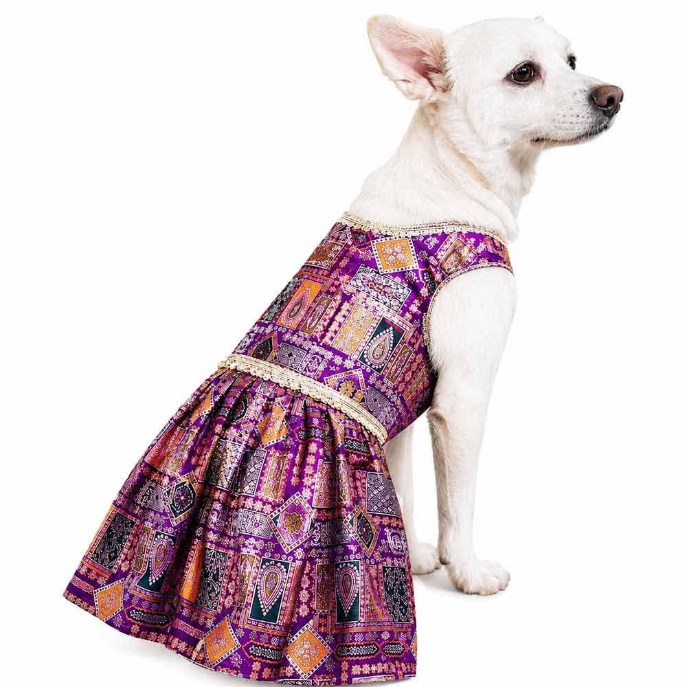 Jamuni Jalwa festive dog dress - Image 1