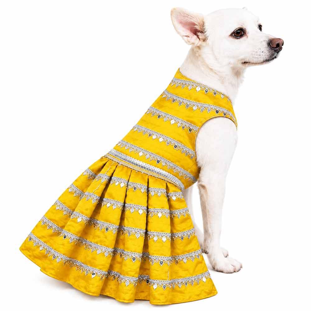 Yellow Sequence festive dog dress - Image 1