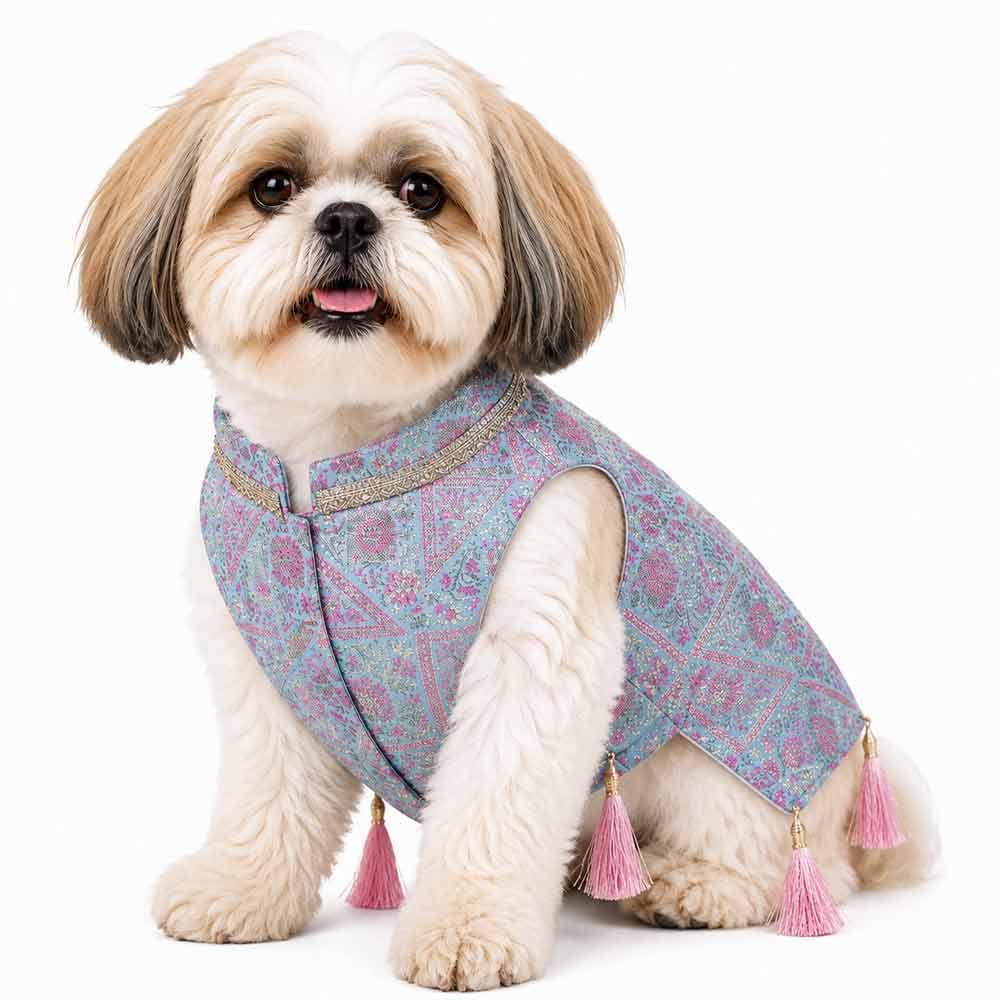 1 Light blue Festive dog kurta - Image 1