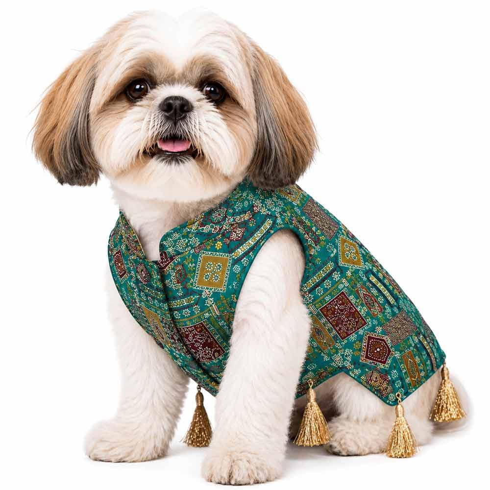 1 Morpankhi Festive dog kurta - Image 1