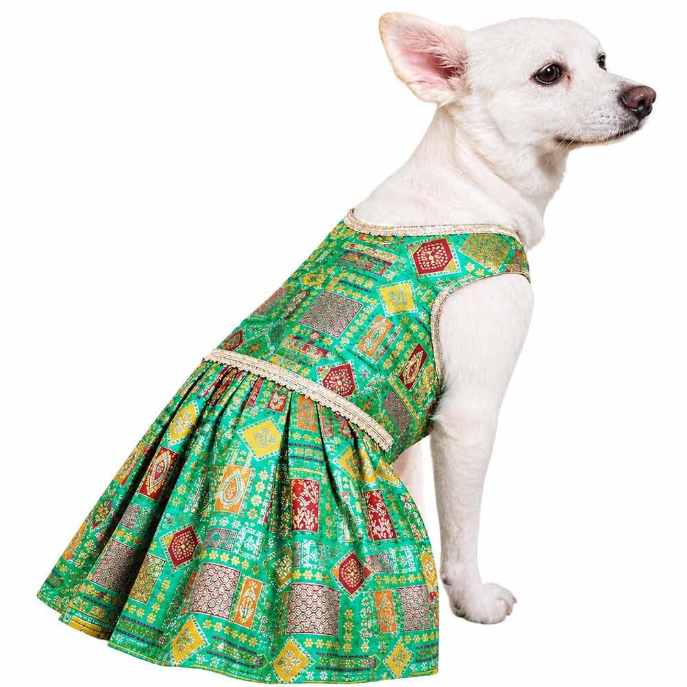 Morpankhi festive Dog dress - Image 1